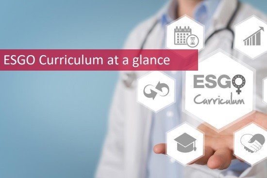 esgo-curriculum-at-a-glance-3