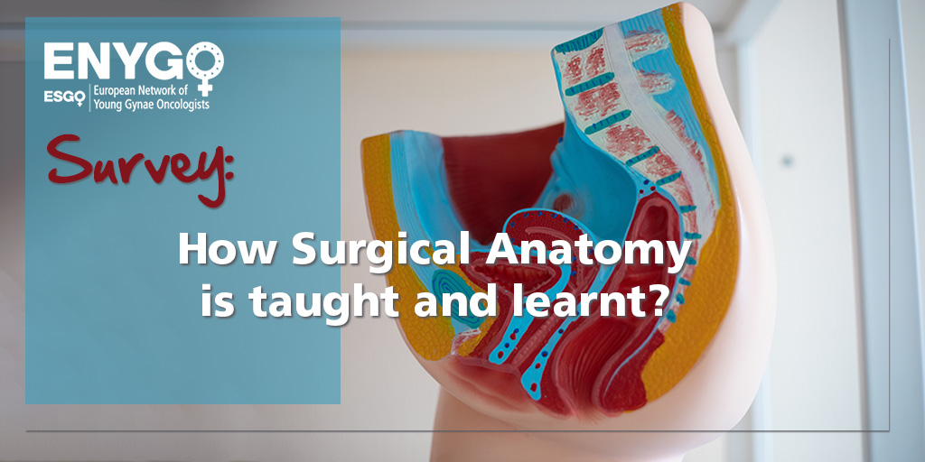 How Surgical Anatomy is taught and learnt_web